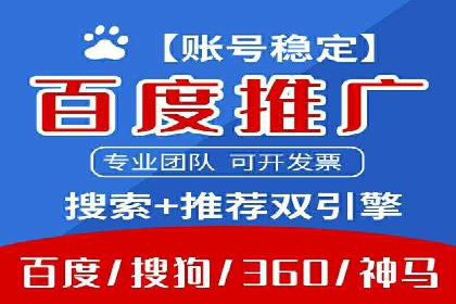 百度广告投放策略与效果评估案例